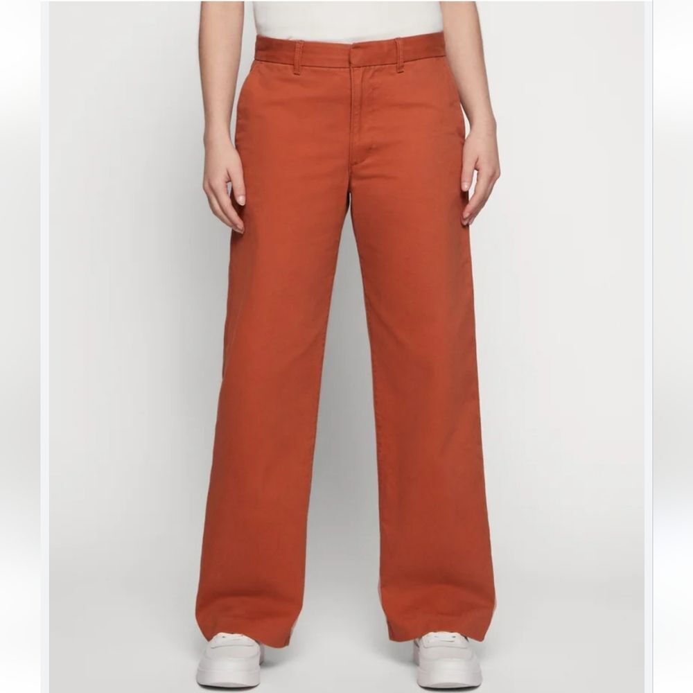 Levi's Baggy Trouser Baked Clay Pants Size 25 x 31